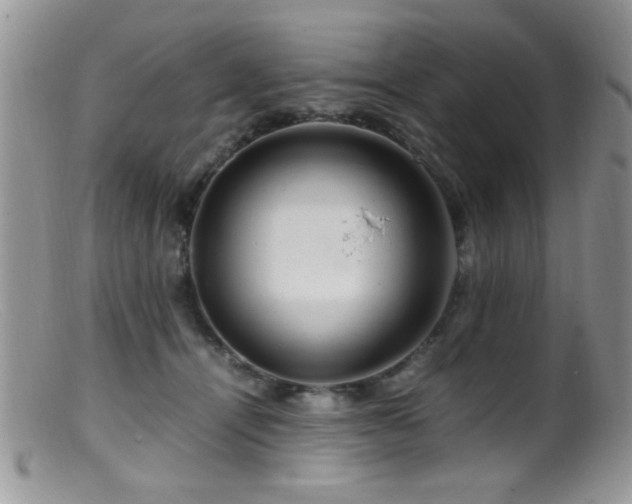 X0000099490464200805151411