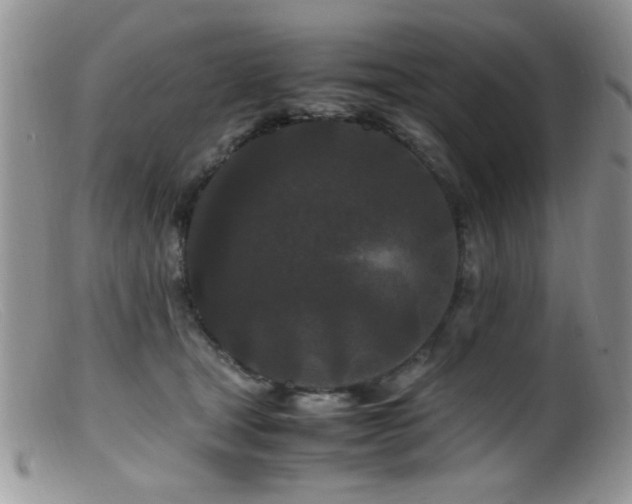 X0000099490465200805151411