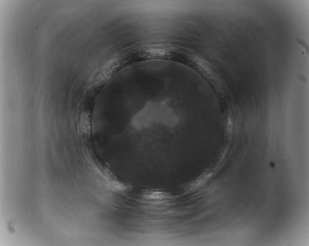 X0000099490467200805151411