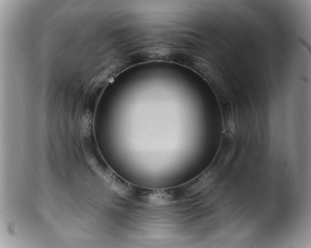 X0000099490468200805151411