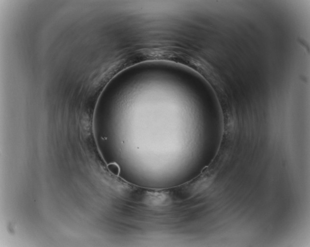 X0000099490469200805151411