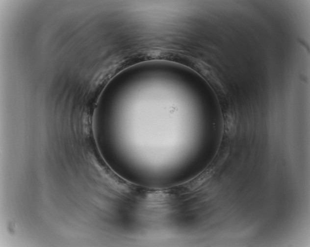 X0000099490470200805151411