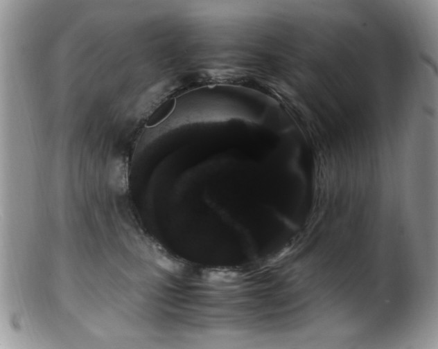 X0000099490471200805151411