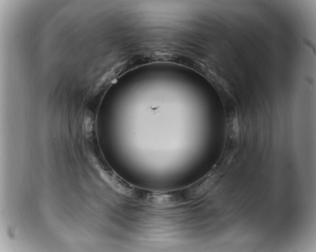 X0000099490472200805151411