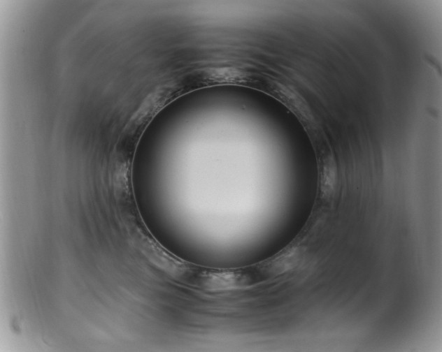 X0000099490473200805151411