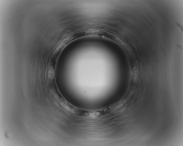 X0000099490474200805151411