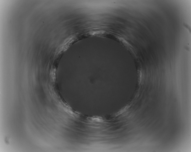 X0000099490475200805151411