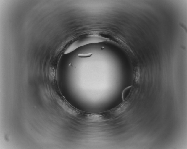 X0000099490476200805151411
