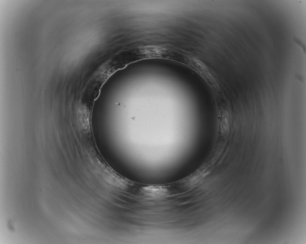 X0000099490477200805151411