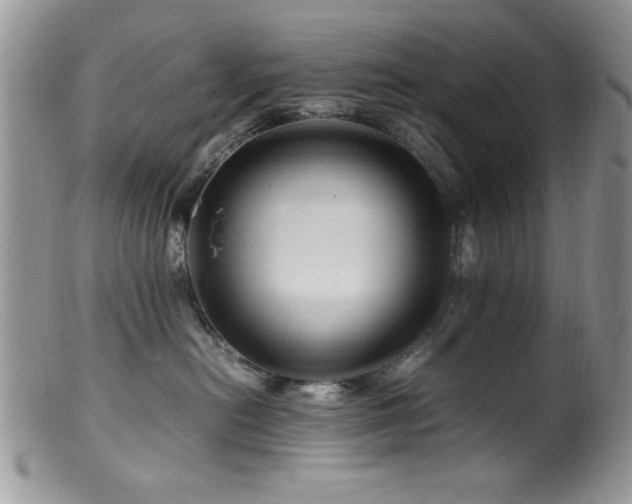 X0000099490478200805151411