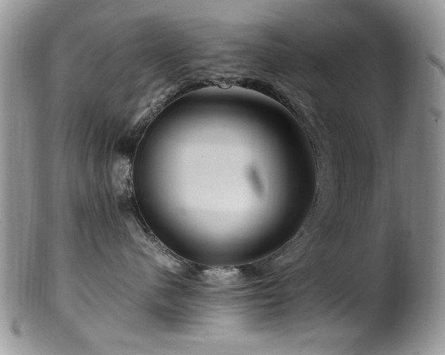 X0000099490480200805151411