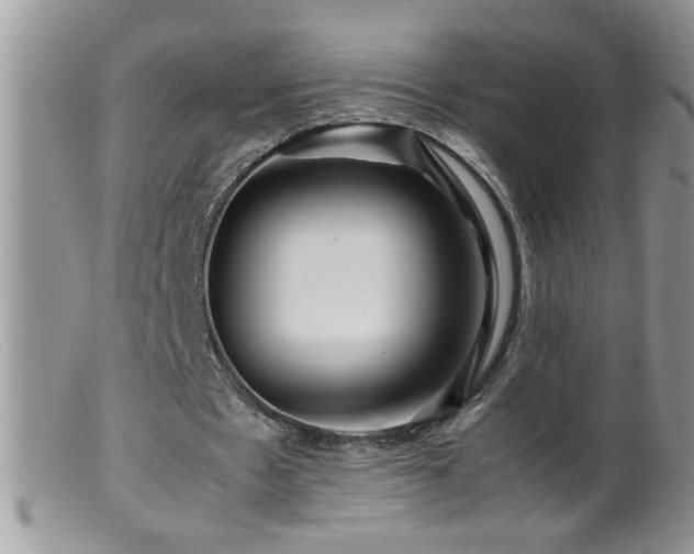 X0000099490481200805151411