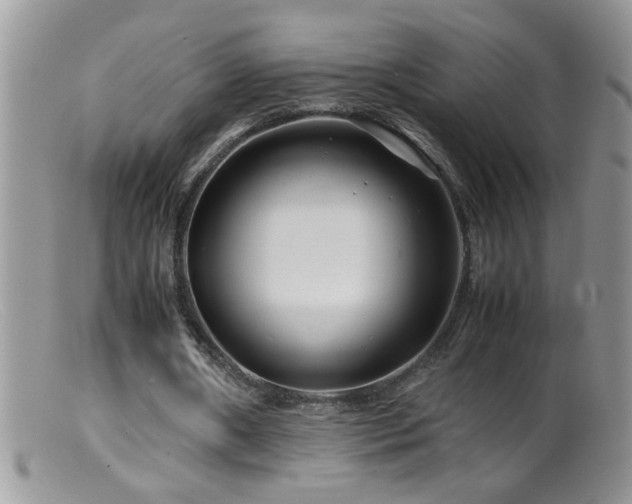 X0000099490482200805151411