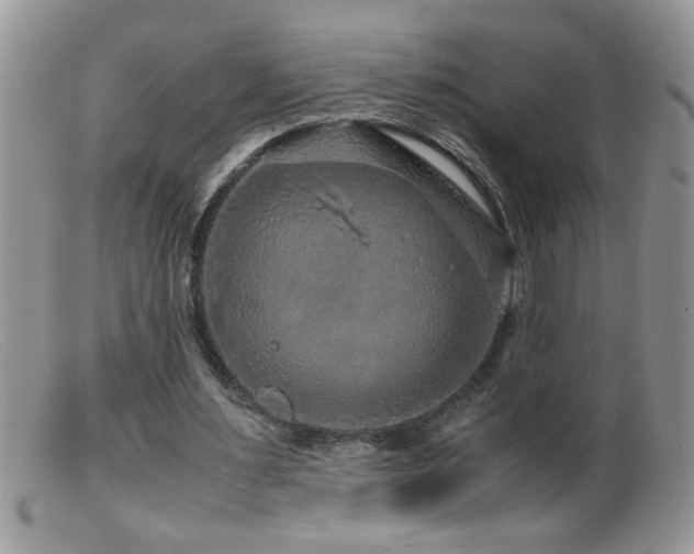 X0000099490483200805151411