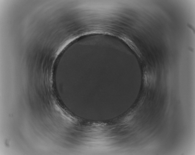 X0000099490484200805151411
