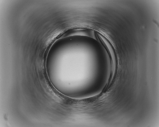 X0000099490485200805151411