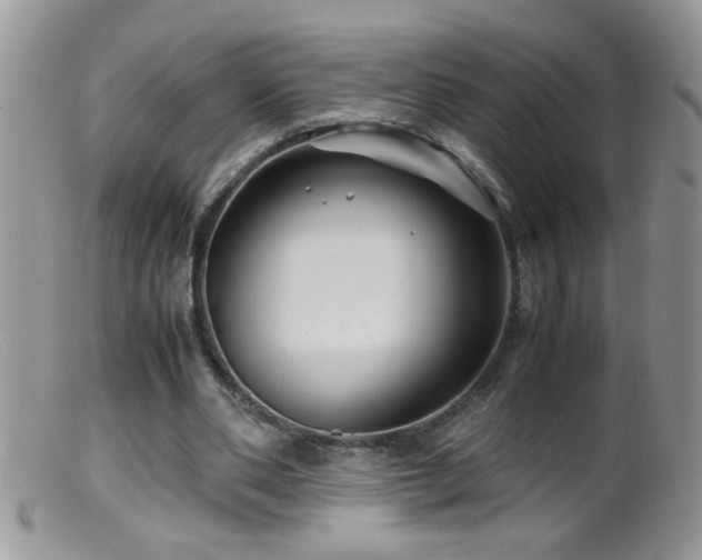 X0000099490486200805151411