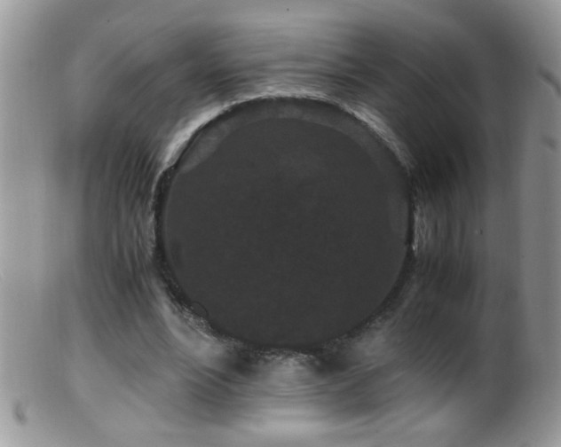 X0000099490488200805151410