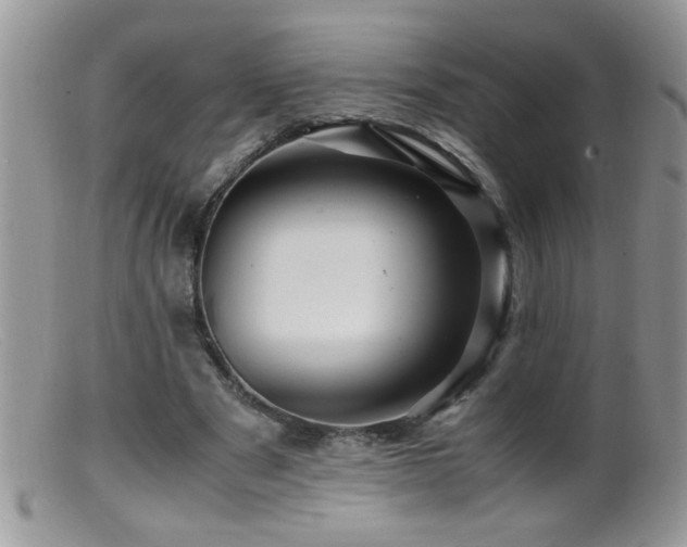 X0000099490489200805151410