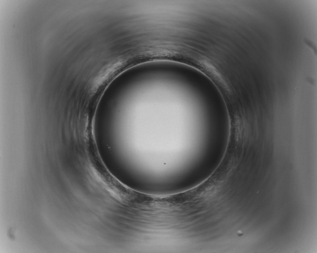 X0000099490490200805151410