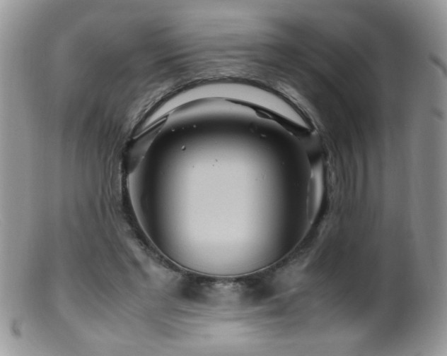 X0000099490493200805151410