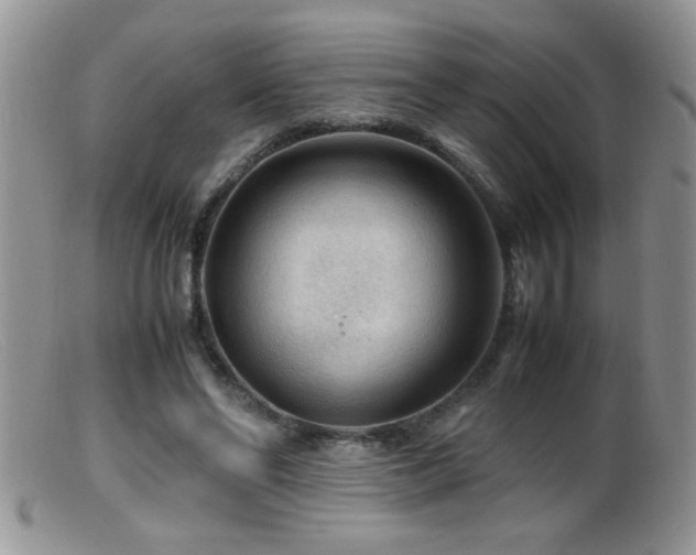 X0000099490494200805151410