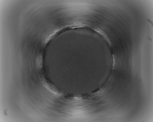 X0000099490496200805151410