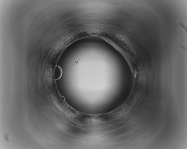 X0000099490498200805151410