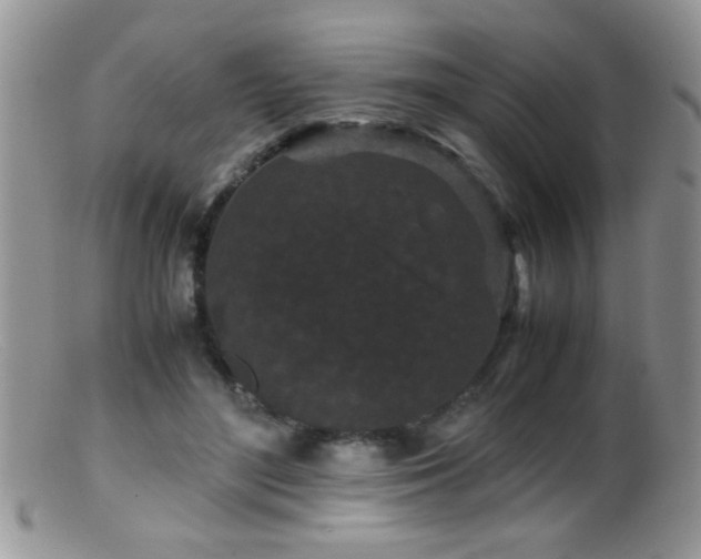 X0000099490500200805151410