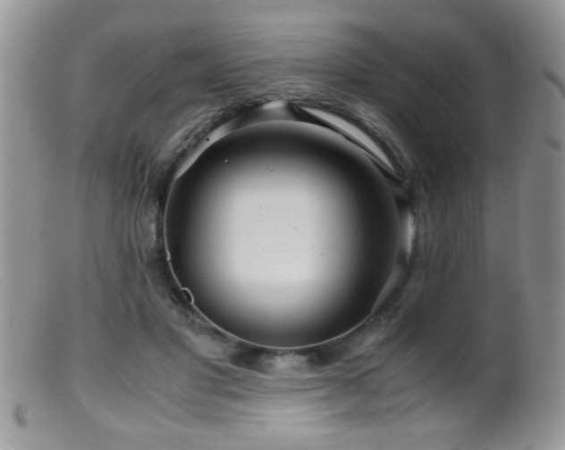 X0000099490501200805151410