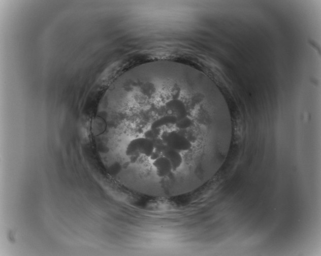 X0000099490503200805151410