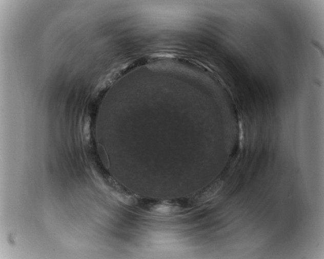 X0000099490504200805151410