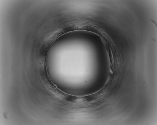 X0000099490505200805151410