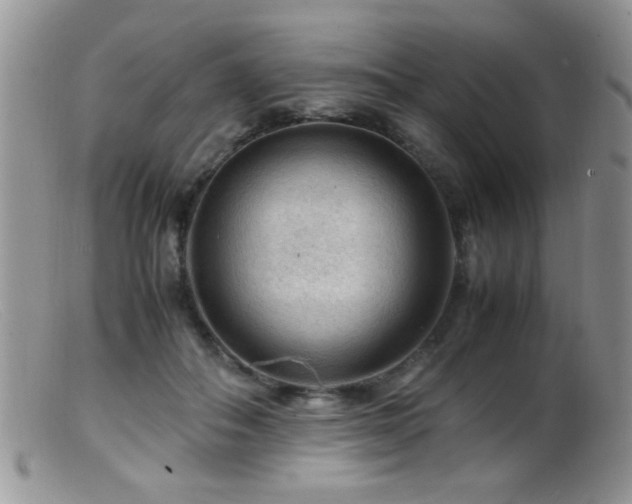 X0000099490506200805151410
