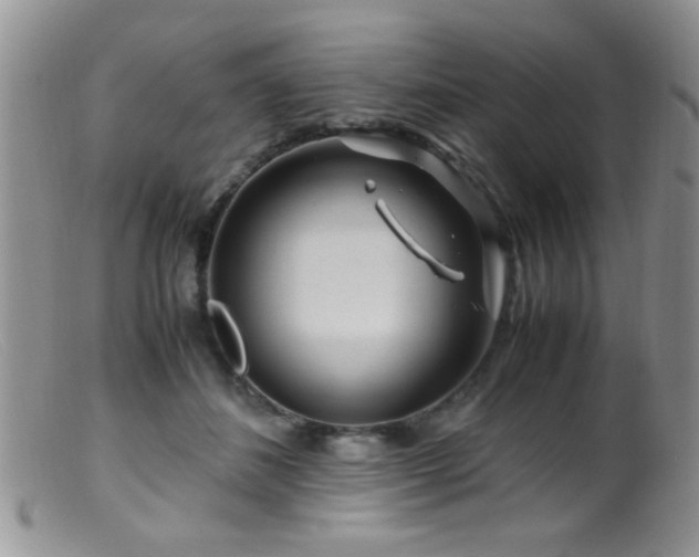 X0000099490508200805151410