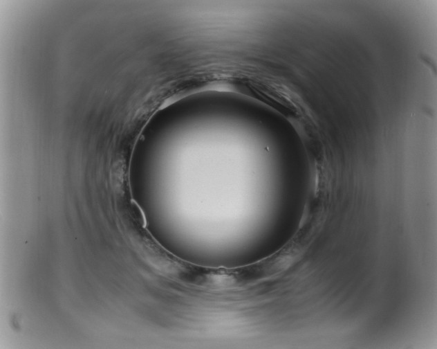 X0000099490509200805151410