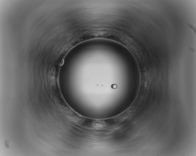 X0000099490510200805151410
