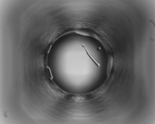 X0000099490512200805151410