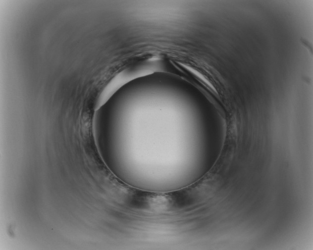X0000099490513200805151410