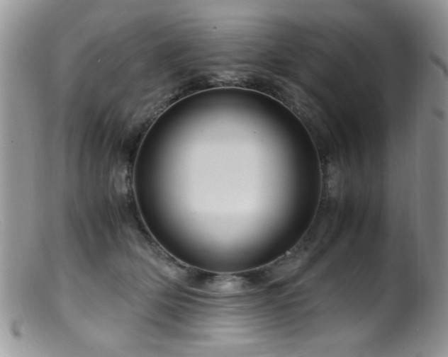 X0000099490514200805151410