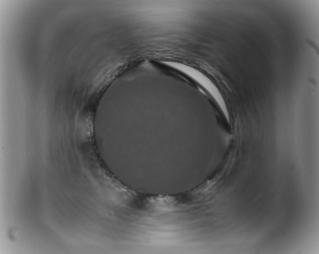 X0000099490517200805151410