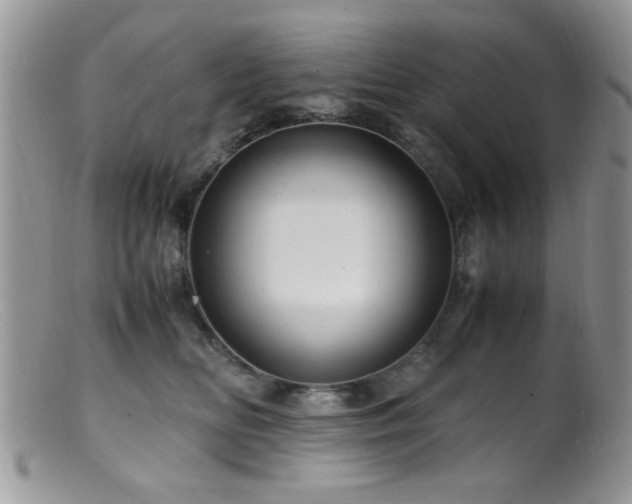 X0000099490518200805151410