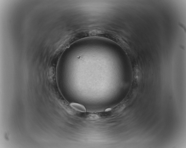 X0000099490519200805151410