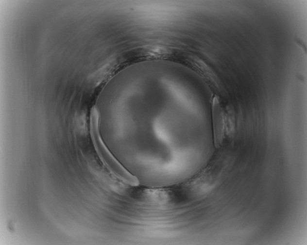 X0000099490520200805151410
