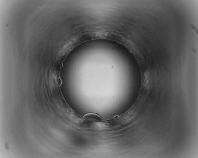 X0000099490522200805151410