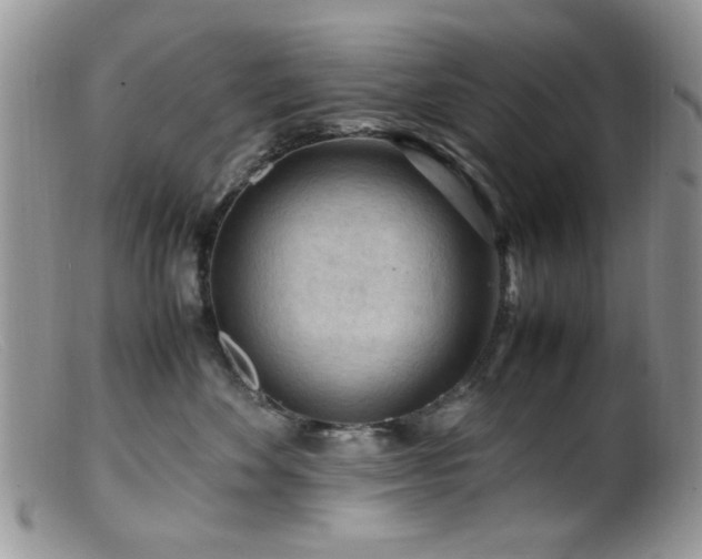 X0000099490524200805151410