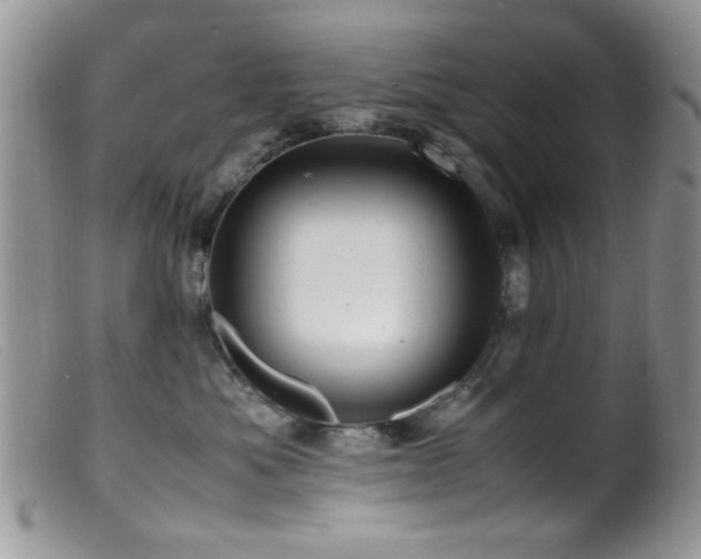 X0000099490525200805151410