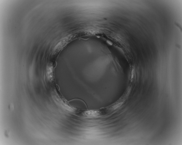 X0000099490526200805151410