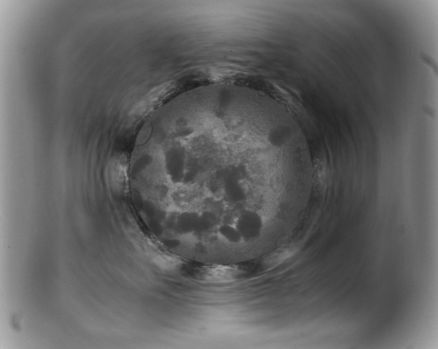 X0000099490527200805151410