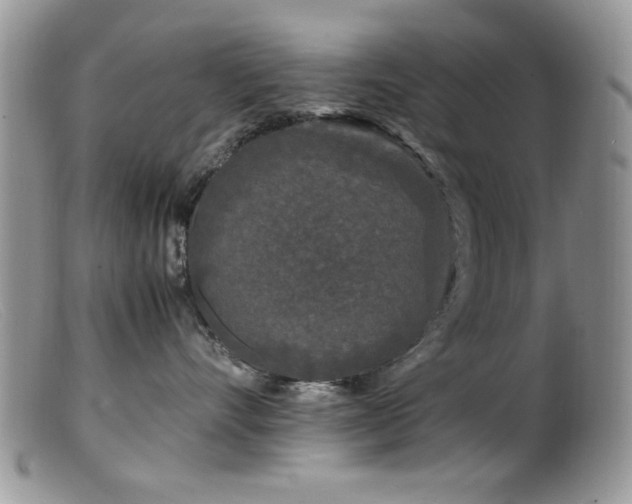 X0000099490528200805151410